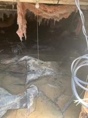 This dirty crawlspace really needed a facelift!