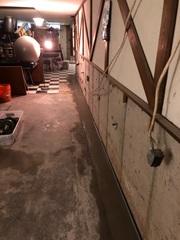 WaterGuard Drainage System