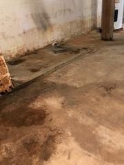 This dirty basement had severe water stains from repeated flooding.