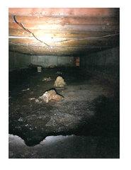 Before starting our project we had to remove these rocks as well as everything else that was in the way.