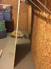 Before Waterproofing