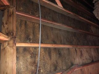Mold damage and restoration in Shelton CT.