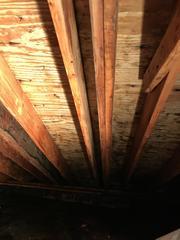 After removing mold damage from the attic's wood beams and ceiling.