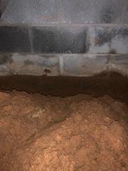 There was pooling water in this crawlspace.
