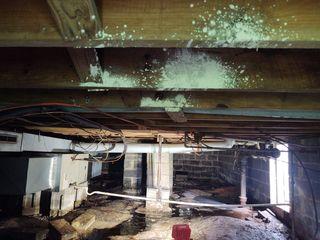 There was mold growing on the wooden joists.