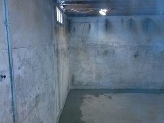 Finished Waterguard system