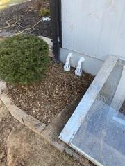 WaterGuard Keeps Saint Peters Basement Dry