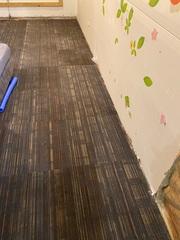 Before Waterproofing