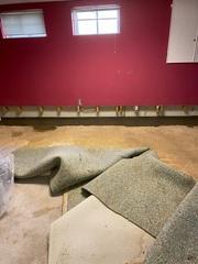 The WaterGuard System