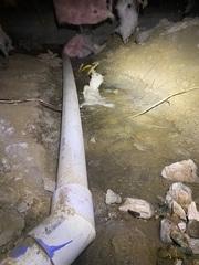 This SpartPipe is custom-designed to act as a drainage system made specifically for dirt crawlspace. It is the first and only drainage system that is specifically designed for crawl spaces.