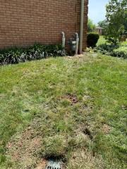 Waterproofing a Basement in Saint Louis, Missouri