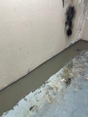 TripleSafe & WaterGuard Installed in Ellisville, MO