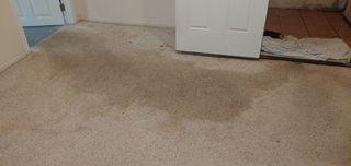 Water Damaged Basement