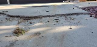 Driveway concrete that has settled due to voids that formed underneath. Uneven concrete is not only an eye sore, it is also a safety hazard.