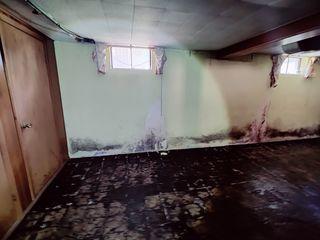 Window Damage cont...