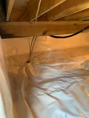 CleanSpace® Wall System installed in the crawl space. This vapor barrier keeps moisture out while keeping your crawl space dry.