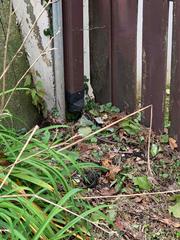 Closer View of Drainage Line Before