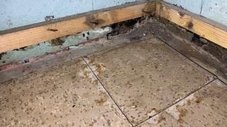 This property is owned by a local church for community purposes. It was apparent that there was a serious water leak that the church board knew need to be addressed. They reached out to Fortress for a solution, and after seeing the property, we decided that our Water Guard XL drainage system and TripleSafe Sump Pump system was the right solution for their concerns.