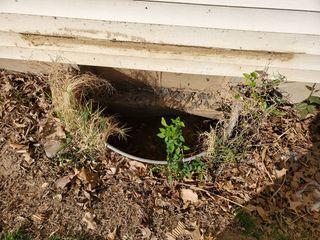 Window Well Installation in Sikeston, MO