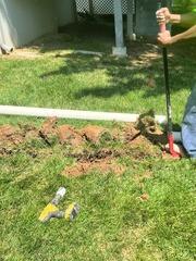 Digging the Trench