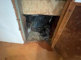 Before installation of TripleSafe Sump Pump system