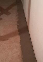 Waterproofing a Saint Louis, MO Basement