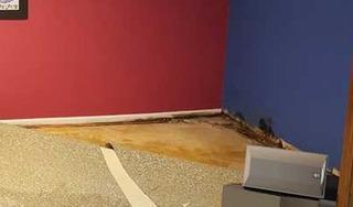 Waterproofing a Moldy Chesterfield, MO Basement