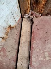 Water seeping into the basement from crack.