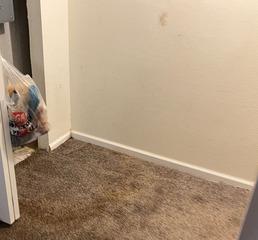 Waterproofing a Basement in Festus, MO