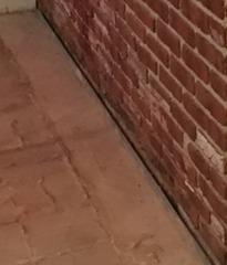 WaterGuard will catch wall seepage and drain it to the sump pump.