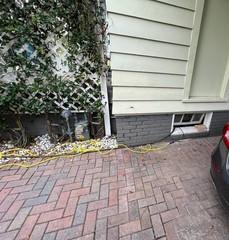 Sometimes accesses to basements and crawlspaces are tight, like at this Orlando, Florida home. However, LRE is able to access even the smallest of areas with ease.