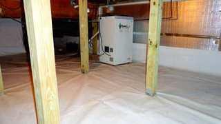 The SaniDry dehumidifier can remove 110 pints of water per day from the air, and has the added benefit of filtering out particles and mold spores as small as 2 microns. This is an ideal solution to a mold problem in a crawlspace.