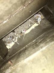 Duct Cleaning - Harlan, IA