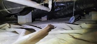 This crawl space had such high levels of moisture and humidity that mold was beginning to grow throughout.