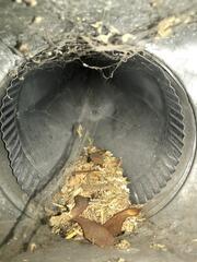 Duct Cleaning - Palmer, NE