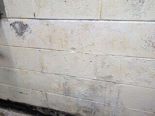 These basement walls were covered in water damage. Rain water would seep through the walls and floors after every heavy rain storm. Paint was chipping, musty odors were arising, and something needed to be done!