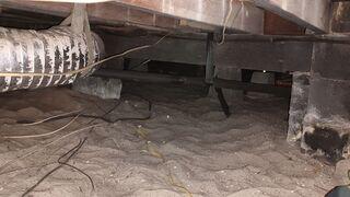 This crawlspace has similar issues as most do in Florida. Exposure to moisture and shifting soils can lead to mold, rotten wood, and other problems.