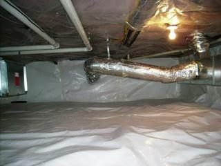 With a 25-year warranty against rips and tears, this durable liner will convert your crawl space into a usable storage area. And with its mold-resistant additive "UltraFresh", CleanSpace will never support mildew or mold growth on its surface.