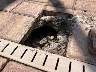 Voids were found beneath the pavers on this pool deck, an indication of shifting and washed out soils conditions.