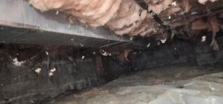This crawlspace was in need of waterproofing.