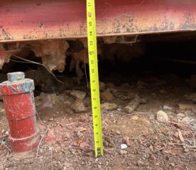 In this crucial step of the process, our design specialist meticulously measures the dimensions of your crawl space, ensuring precision for our crawl space repair services. We understand the importance of addressing concerns like whether a crawl space should be vented or how to seal a crawl space properly. Our experienced team, comprised of knowledgeable crawl space contractors near you, specializes in clean crawl space solutions and crawl space foundation repair. We offer comprehensive crawl space clean-up and encapsulation services, utilizing state-of-the-art techniques and materials like...