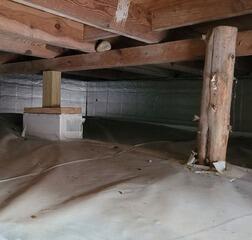 Although sturdy, this tree trunk did not provide the beam support needed for this crawl space.
