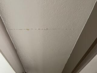 If you notice interior ceiling cracks, it could be indicative of underlying issues with your house foundation. It's crucial to engage residential foundation contractors near you, particularly in Arizona (AZ), to conduct an express foundation inspection. These foundation specialists can assess the situation and determine if concrete repair, concrete lifting, or foundation leveling services are needed. Companies specializing in concrete leveling, such as poly jacking concrete or concrete leveling foam applications, may offer solutions to address sunken concrete, including driveway lifting...