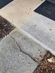 Situated right at the front of the home, the emergence of this trip hazard due to settling concrete posed a significant safety concern for the homeowner.