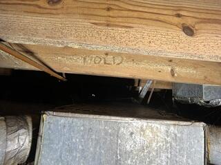 Mold can grow quickly in a damp, moist crawl space.