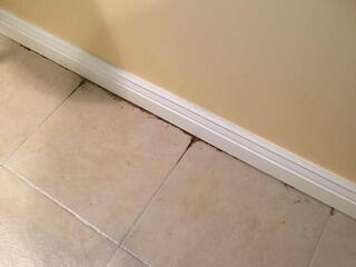 Waterproofing a Damaged Basement in Saint Louis, MO