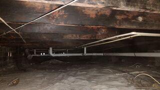Upon inspection, the initial condition of the crawl space revealed significant moisture damage, accompanied by a strong odor resulting from mold and mildew.