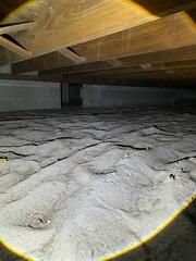 This home's crawl space, like many others, typically lacks adequate moisture control measures. Consequently, the humid Florida air and rainwater can lead to extensive deterioration and mold buildup.