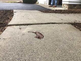 Water drainage has washed away the soil under the slab causing it to drop.