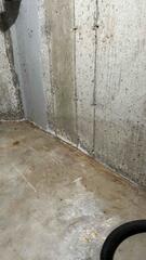 This homeowner was getting water in their basement.